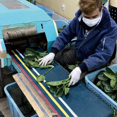 農業・園芸